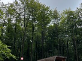 630a393b-06fa-4d21-bf33-1a3f575b746e