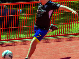 IMG-3
