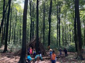 PHOTO-2024-07-26-12-01-43