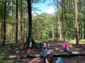 PHOTO-2024-07-26-12-01-43 5