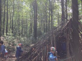 PHOTO-2024-07-26-12-01-43 6